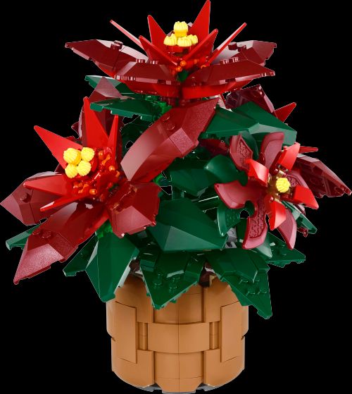 一品红 (LEGO 10370)