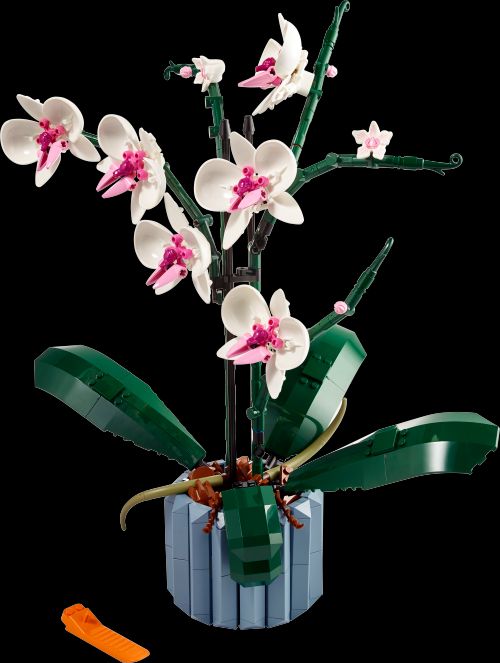 兰花 (LEGO 10311)