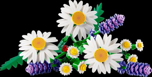雏菊 (LEGO 11508)