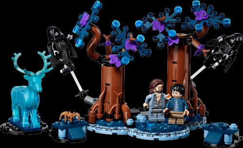 禁林：守护神咒 (LEGO 76475)