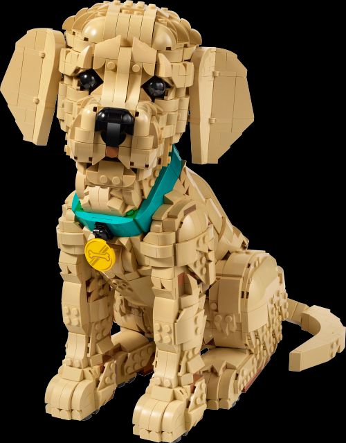 金毛幼犬 (LEGO 11384)